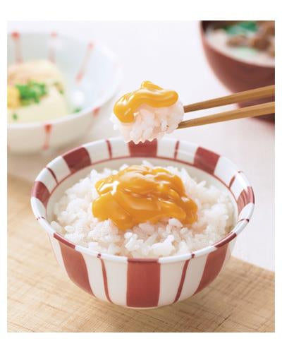ジャネフ ごはんにあうソース たまご風味 / 011195 10g×40袋 (2)