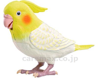 もっとおしゃべり 天才オカメインコちゃん (1)