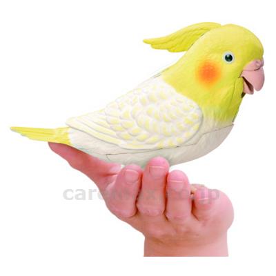 もっとおしゃべり 天才オカメインコちゃん (2)