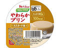 やさしくラクケア やわらかプリン カスタード味 / 091241 63g (1)